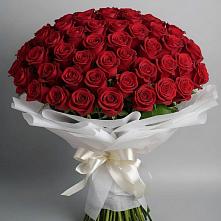 Букет 101 Красная роза Блэк Мэджик в Ликино-Дулево