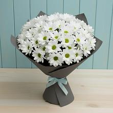 Букет цветов из:  Хризантемы в Ликино-Дулево