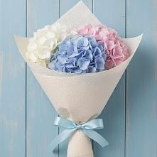 Букет цветов из:  Гортензия #REPLACE_PRED# Ликино-Дулево