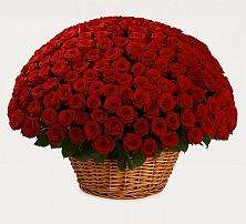 Премиум букет из: Розы в Ликино-Дулево