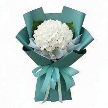 Букет цветов из:  Гортензия #REPLACE_PRED# Ликино-Дулево